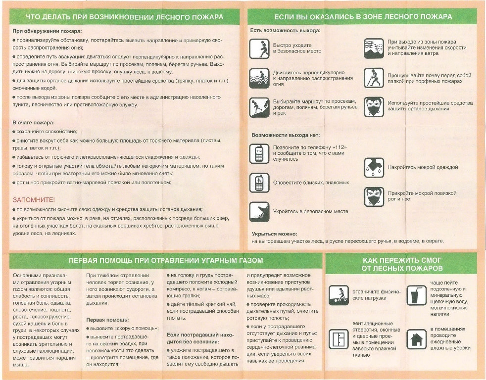 Памятка по правилам поведения при лесном пожаре