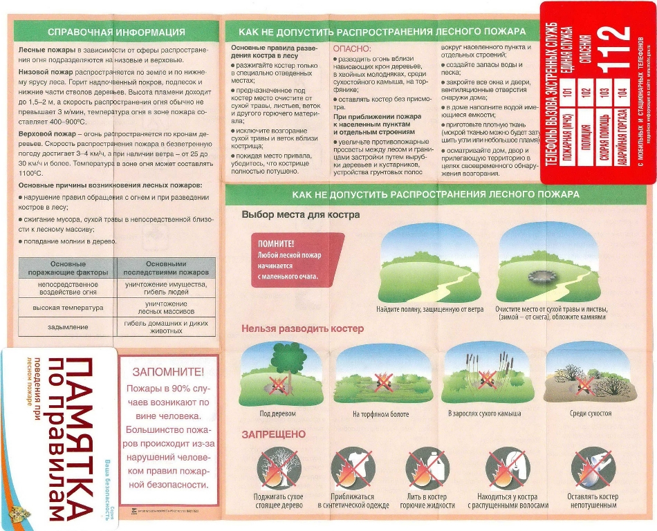 Памятка по правилам поведения при лесном пожаре